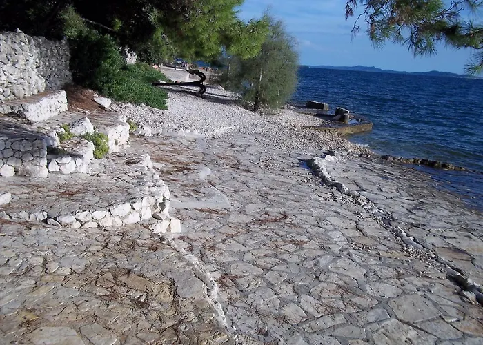 Апартаменты Branka *